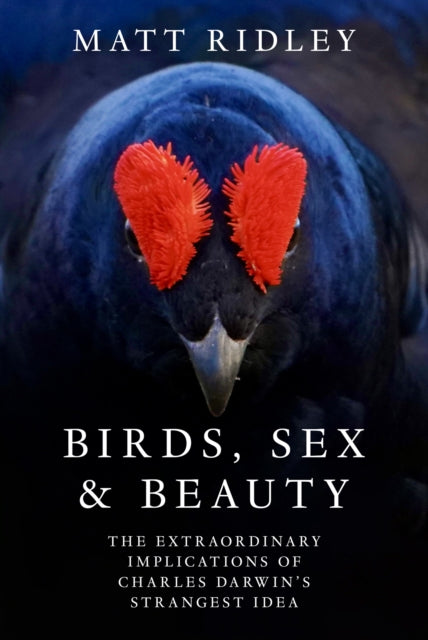 Birds, Sex and Beauty : The Extraordinary Implications of Charles Darwin’s Strangest Idea-9780008645526