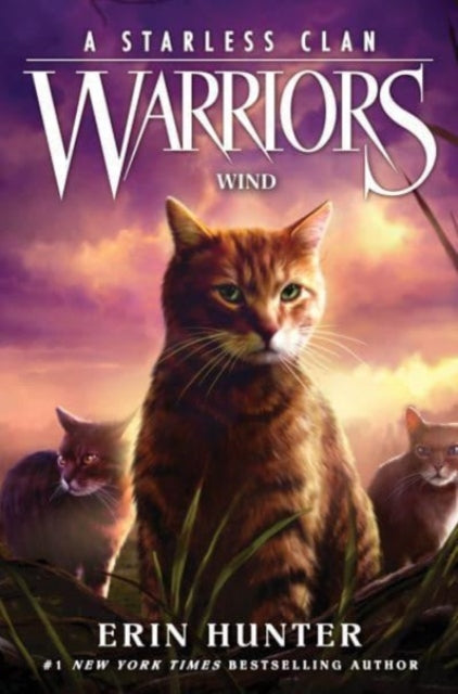 Warriors: A Starless Clan #5: Wind : 5-9780063050334