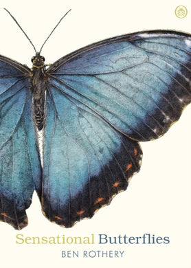 Sensational Butterflies-9780241361054