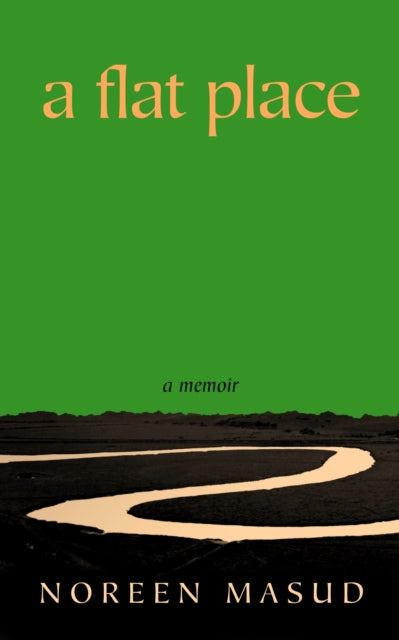 A Flat Place-9780241544051
