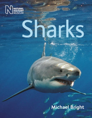 Sharks-9780565092894