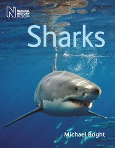 Sharks-9780565092894