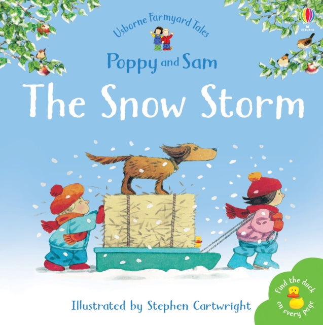 The Snow Storm-9780746063118