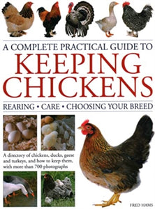 Keeping Chickens, Complete Practical Guide to : Rearing; Care; Choosing Your Breed: A directory of chickens, ducks, geese and turkeys, and how to keep them, with over 700 photographs-9780754835653