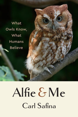 Alfie and Me : What Owls Know, What Humans Believe-9781324065463