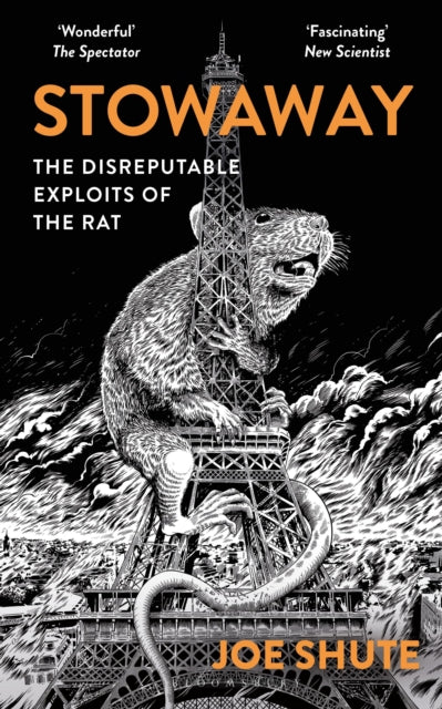 Stowaway : The Disreputable Exploits of the Rat – A NEW SCIENTIST NON-FICTION BOOK OF THE YEAR-9781399402514