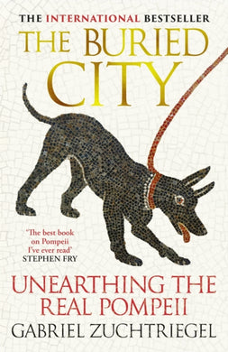 The Buried City : Unearthing the Real Pompeii - an instant Sunday Times bestseller-9781399731171