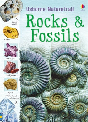 Rocks and Fossils-9781409527695