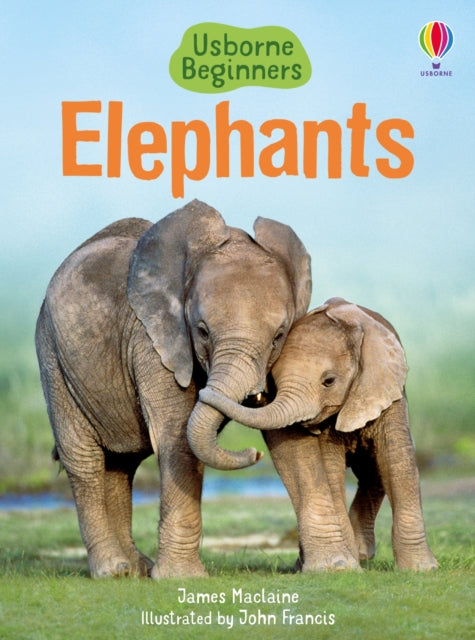 Elephants-9781409530497