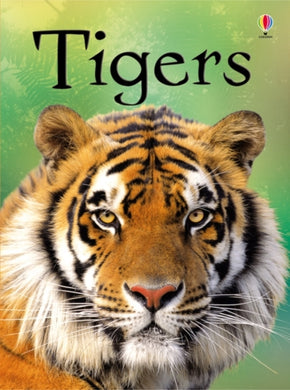 Tigers-9781409530671