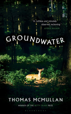 Groundwater-9781526678027