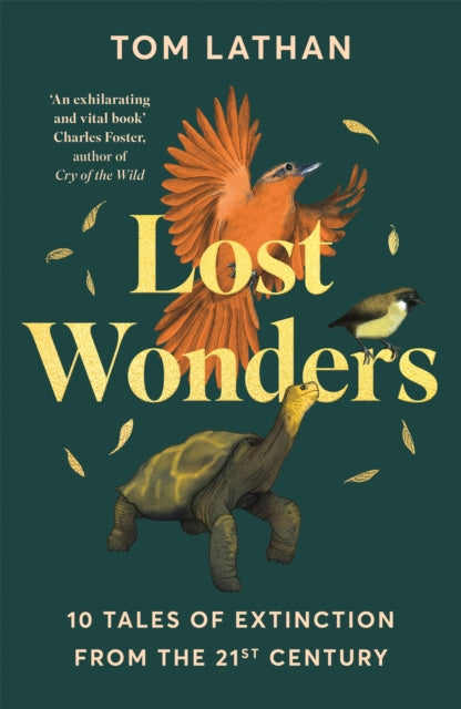 Lost Wonders : 10 Tales of Extinction from the 21st Century-9781529047950