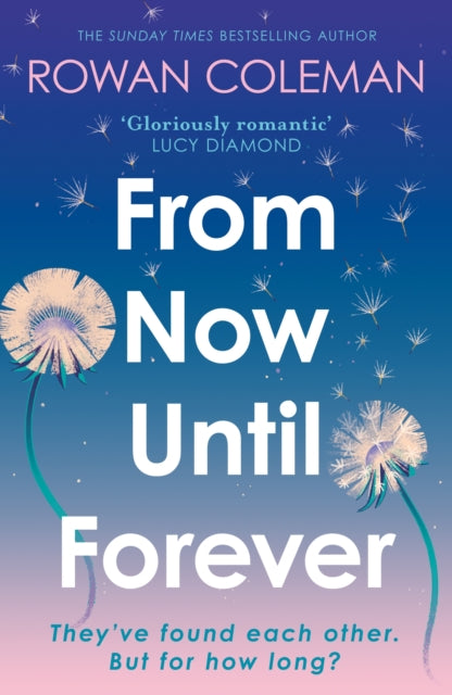From Now Until Forever : an epic love story like no other from the Sunday Times bestselling author of The Summer of Impossible Things-9781529376548
