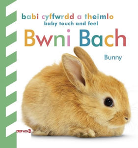 Babi Cyffwrdd a Theimlo: Bwni Bach / Baby Touch and Feel: Bunny : Bunny-9781784232108