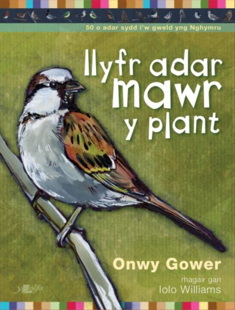 Llyfr Adar Mawr y Plant-9781784617776