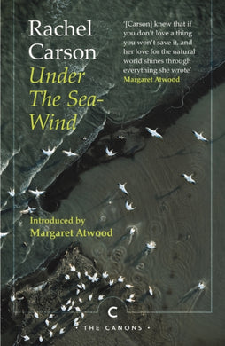 Under the Sea-Wind-9781786899279