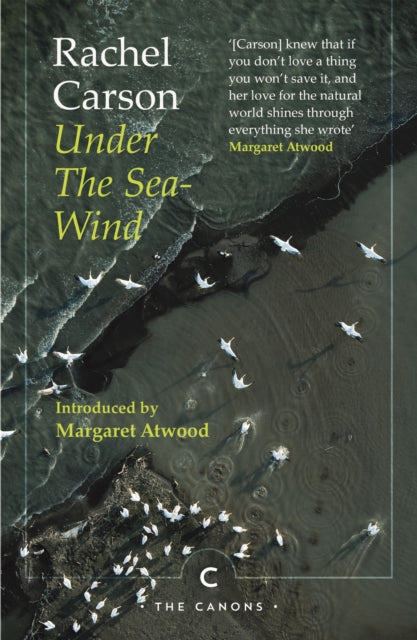 Under the Sea-Wind-9781786899279