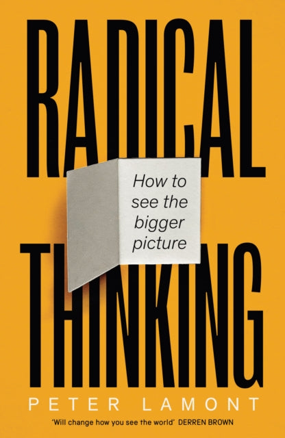 Radical Thinking : How to see the bigger picture-9781800751347