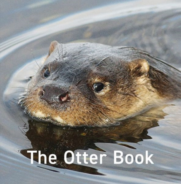 Otter Book, The-9781802580822