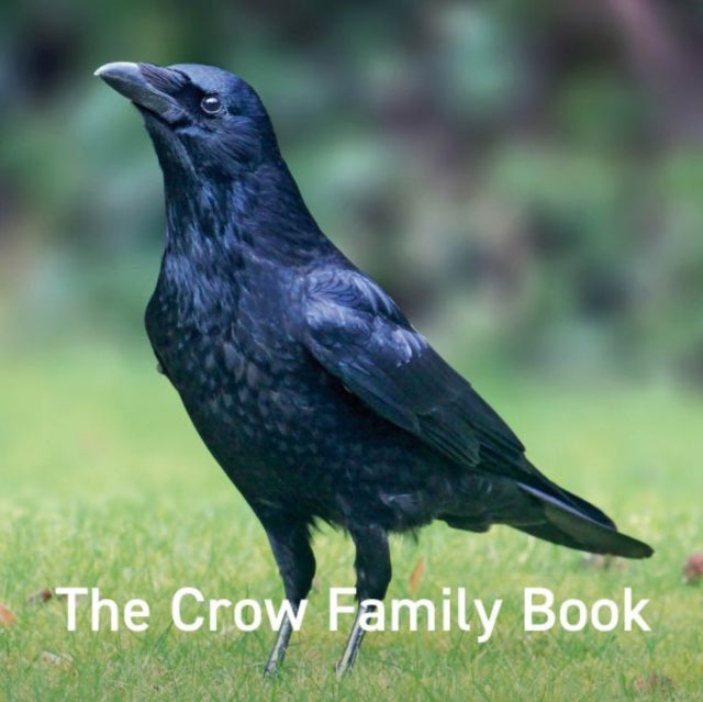 Crow Family Book, The-9781802583564