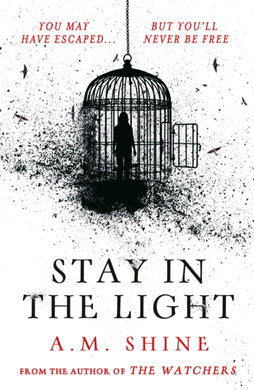 Stay in the Light : the chilling sequel to hit horror novel THE WATCHERS-9781804547953