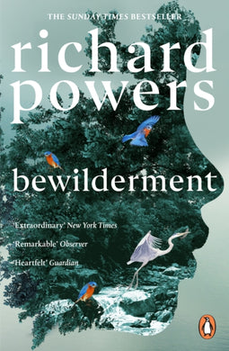 Bewilderment-9781804951668