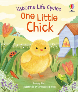 One Little Chick-9781805312253