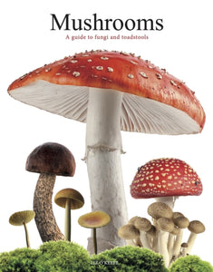 Mushrooms : A guide to fungi and toadstools-9781838864392