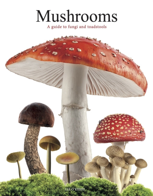 Mushrooms : A guide to fungi and toadstools-9781838864392