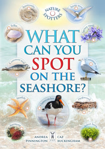 What Can You Spot on the Seashore?-9781908489708