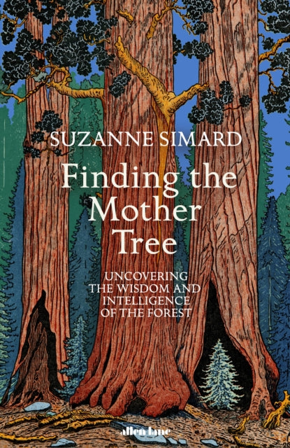 Finding the Mother Tree : Uncovering the Wisdom and Intelligence of the Forest-9780241389348