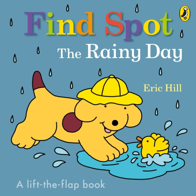 Find Spot: The Rainy Day-9780241610138