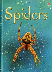 Spiders-9780746074794