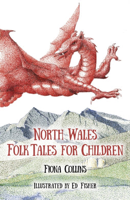North Wales Folk Tales for Children-9780750964272