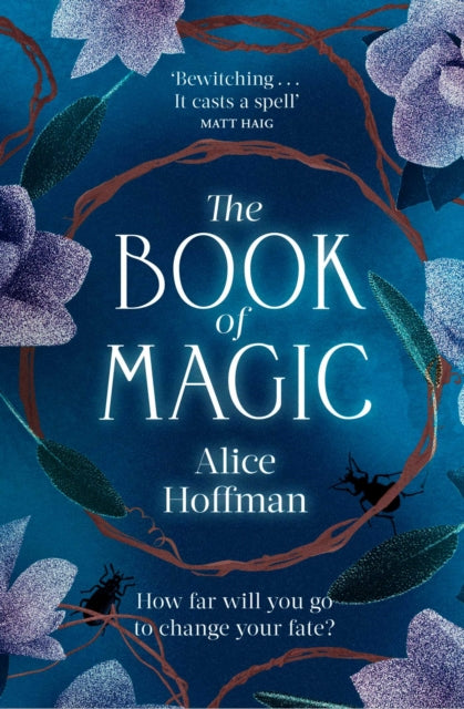 The Book of Magic : 4-9781398509979