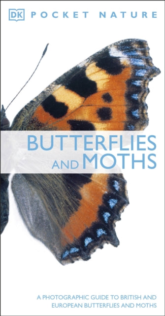 Butterflies and Moths : A Photographic Guide to British and European Butterflies and Moths-9781405349956