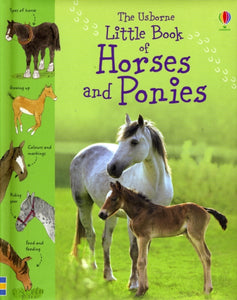 Little Book of Horses and Ponies-9781409508694