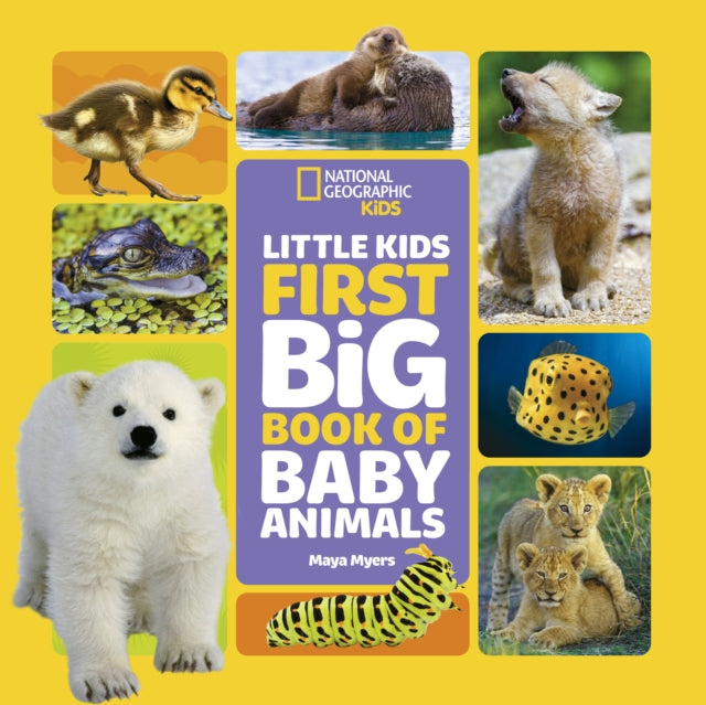 Little Kids First Big Book of Baby Animals-9781426371462