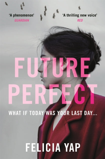 Future Perfect : The Most Exciting High-Concept Novel of the Year-9781472242266