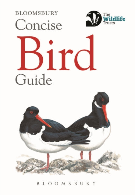 Concise Bird Guide-9781472963758