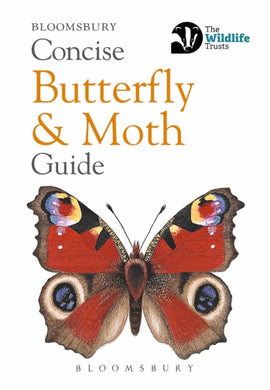 Concise Butterfly and Moth Guide-9781472963772