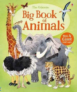 Big Book Of Big Animals-9781474928953
