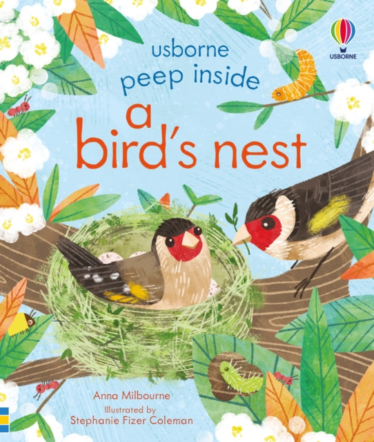 Peep Inside a Bird's Nest-9781474969178