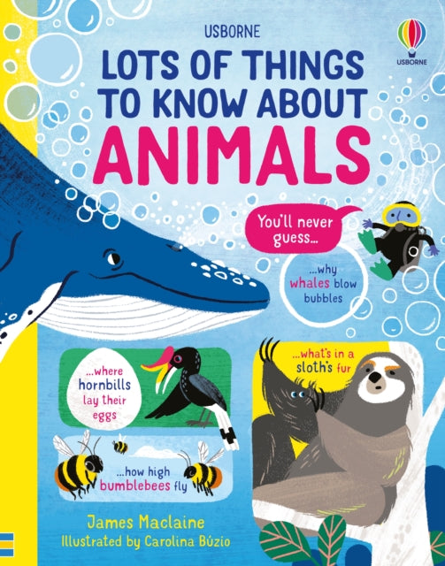Lots of Things to Know About Animals-9781474990752