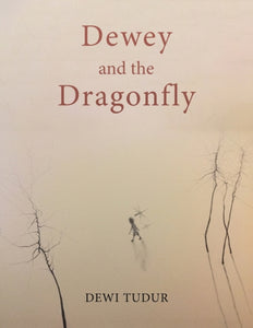 Dewey and the Dragonfly-9781528994941