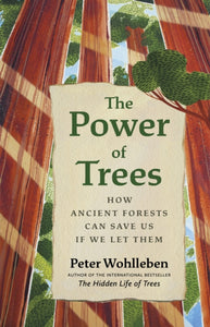 The Power of Trees : How Ancient Forests Can Save Us if We Let Them-9781771647748