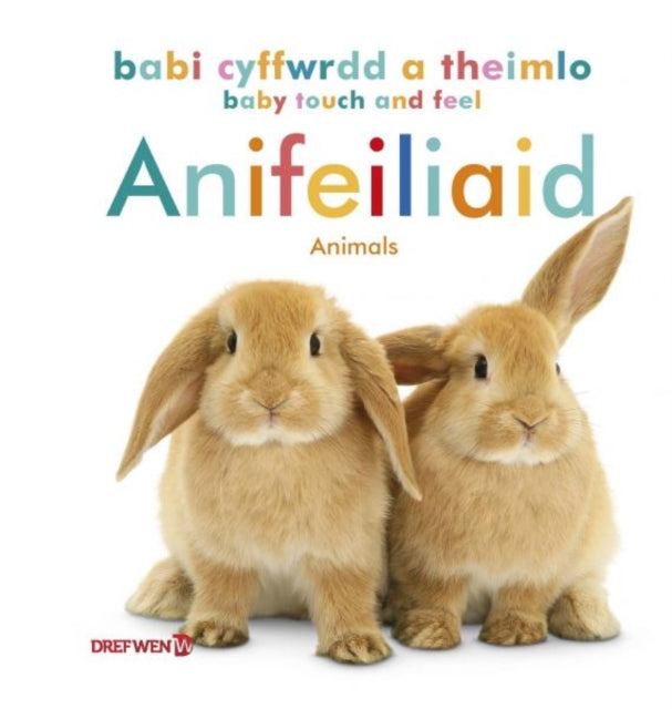 Babi Cyffwrdd a Theimlo: Anifeiliaid / Baby Touch and Feel: Animals-9781784232139