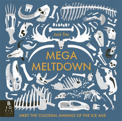 Mega Meltdown-9781800788022