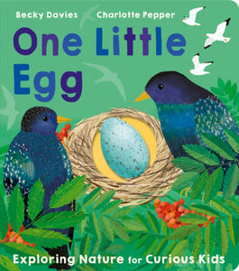 One Little Egg-9781801043236