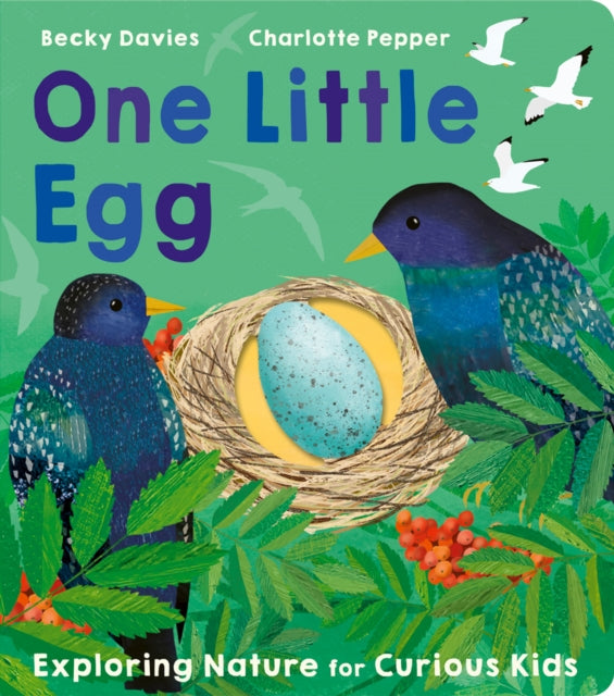 One Little Egg-9781801043236